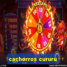 cachorros cururu